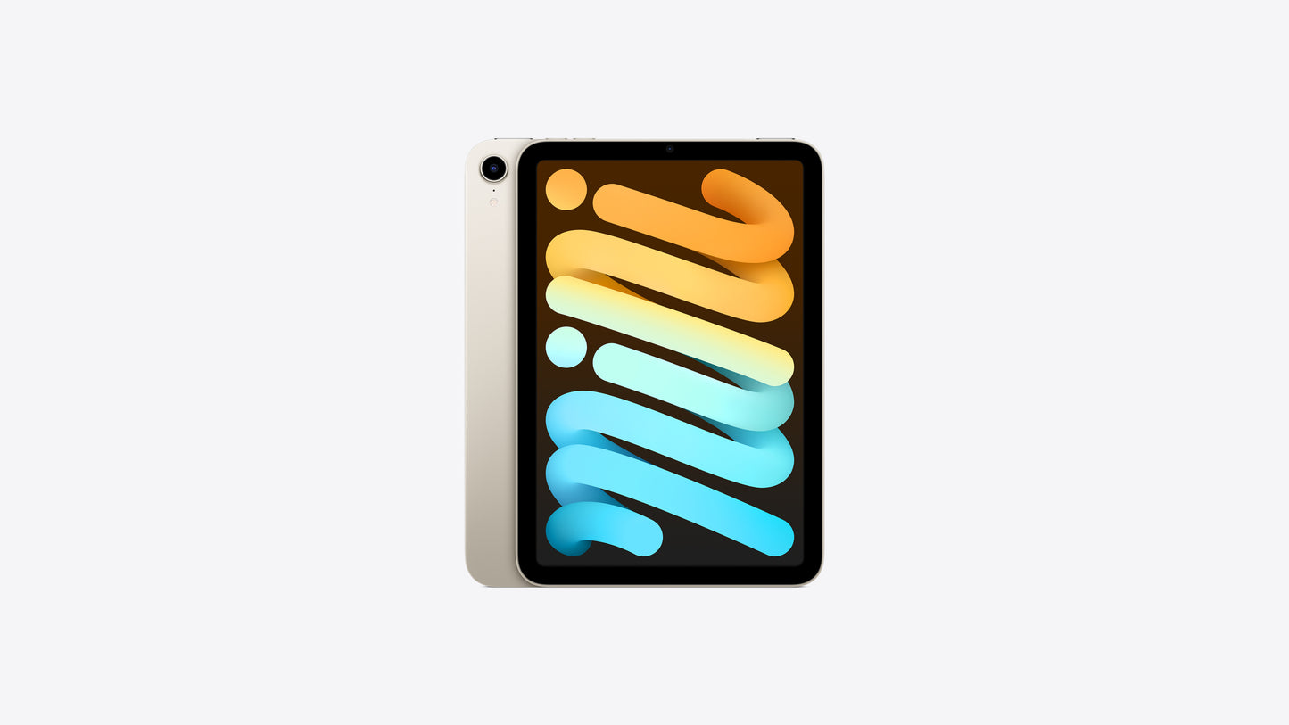iPad mini